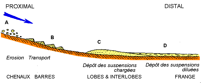 Figure 5: Répartition des faciès turbiditiques d'amont en aval d'un cône, d'après la nomenclature de Mutti et Ricci-Lucchi