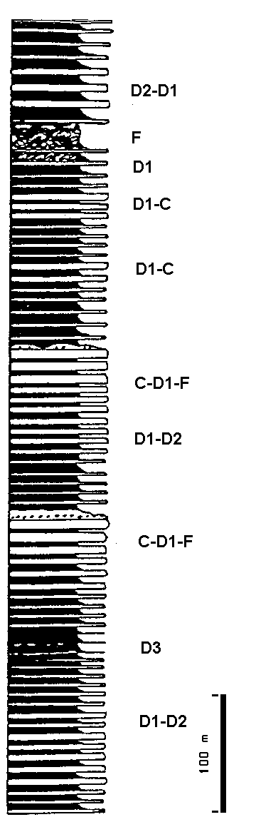 Figure 6: Exemple de série turbiditique ancienne (Carbonifère inférieur de la chaine hercynienne); les faciès turbiditiques sont subdivisés en C1, D2... Le faciès F désigne des zones désorganisées