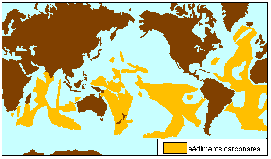 Figure 7: Répartition actuelle des sédiments océaniques carbonatés