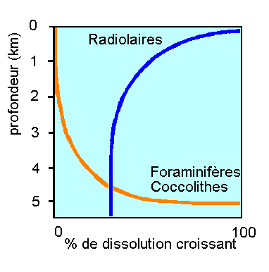 Figure 8: Courbes de dissolution des tests siliceux (Radiolaires) et calcaires (Foraminifères et Coccolithes) en fonction de la profondeur