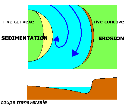 Figure 1: Trajet des filets d'eau et coupe dans un méandre