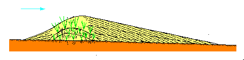 Figure 1: accumulation de sable en arrière d'un obstacle (ici, une touffe d'herbe)
