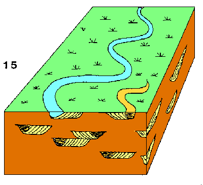 Figure 14: limons de plaine d'inondation; les lentilles sableuses correspondent aux positions successives des chenaux