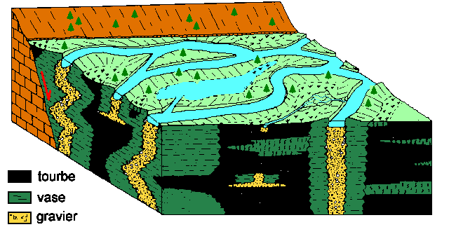 Figure 17: Sédimentation d'une rivière anastomosée. Les berges sont stabilisées par la végétation et les chenaux se déplacent peu; ils déposent des graviers en barres à agradation verticale. La plaine d'inondation est trés humide; il s'y dépose des limons, des vases et de la tourbe