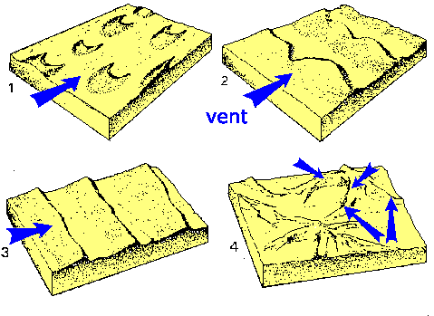 Figure 2: Principaux types de dunes éoliennes. (1) barkhanes;(2) dunes linguoides; (3) dunes transversales à crêtes rectilignes; (4) dunes d'interférence