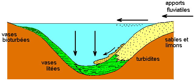 Figure 20: coupe schématique dans un lac oligotrophe