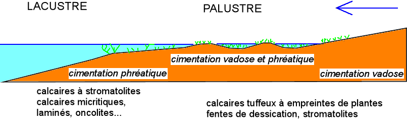 Figure 21: Milieux palustres et lacustres
