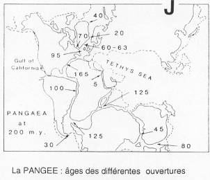 La pangée