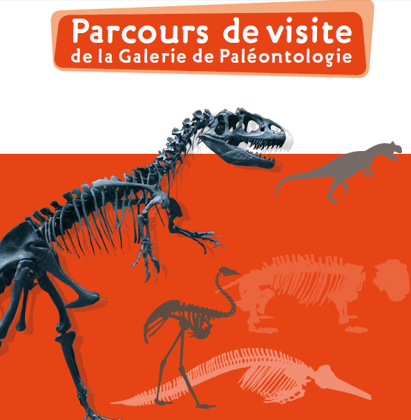 Galerie de Paléontologie