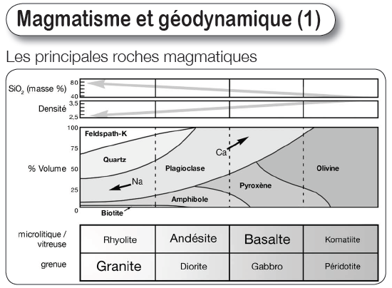 Magmatisme et géodynamique